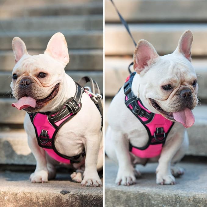 PoyPet No Pull Dog Harness, No Choke Front Lead Dog Reflective Harness, Adjustable Soft Padded Pet Vest with Easy Control Handle for Small to Large Dogs(Pink,XS) PoyPet