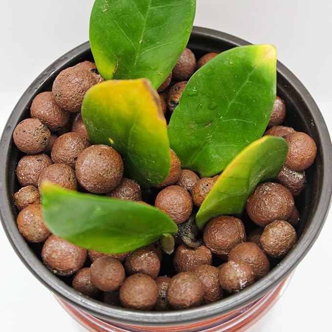 Halatool 2 LB Natural Expanded Clay Pebbles for Plants 4mm-16mm Clay Balls 100% Organic Hydroton Leca Balls for Indoor Plants Hydroponic Growing Gardening Orchids Drainage Decoration Aquaponics HALATOOL