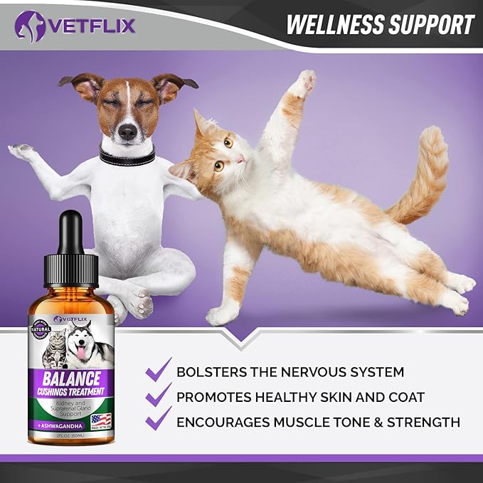 Pet Adrenal Support for Dogs & Cats - Made in USA - Cushings Treatment for Dogs - Cat & Dog Supplement for Kidney Support Vetflix