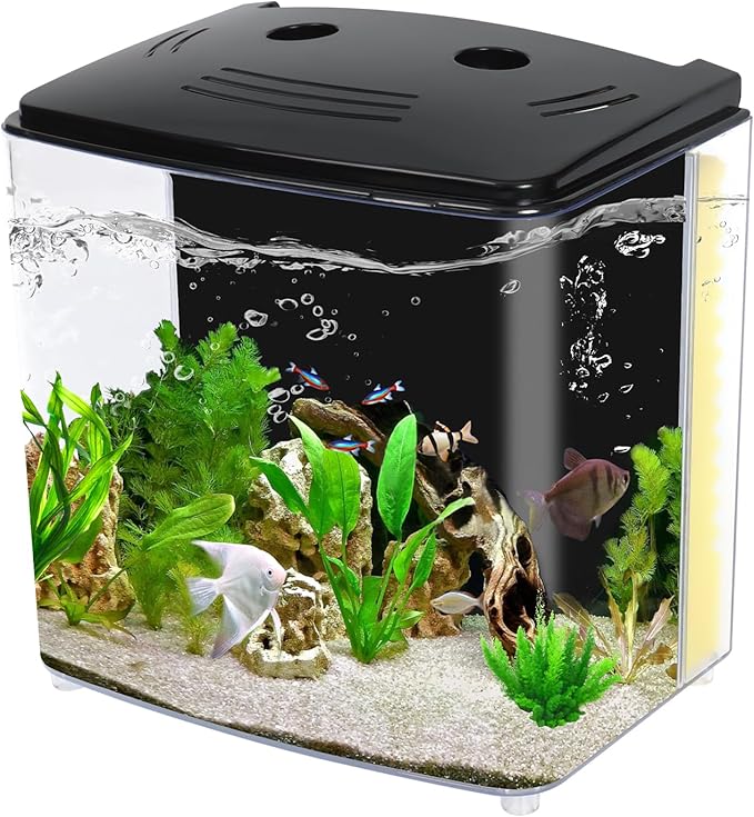 AQUANEAT Fish Tank, 1.2 Gallon Aquarium, Small Betta Fish Tank Starter Kit with LED Light and Water Filter Pump, Rectangular Aquaneat