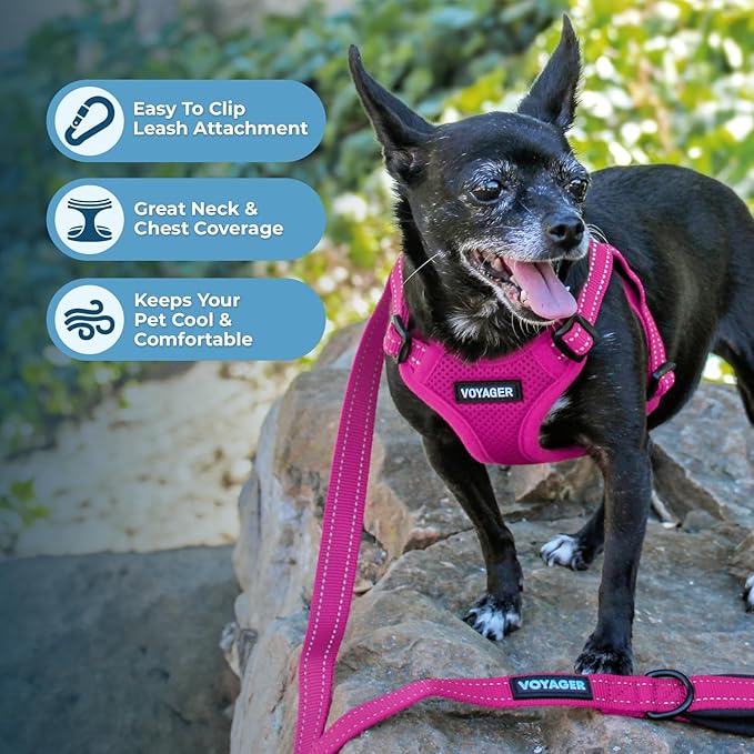 Best Pet Supplies Voyager Adjustable Dog Harness Leash Set with Reflective Stripes for Walking Heavy-Duty Full Body No Pull Vest with Leash D-Ring, Breathable All-Weather - Harness (Fuchsia), M BestPetSuppliesLLC