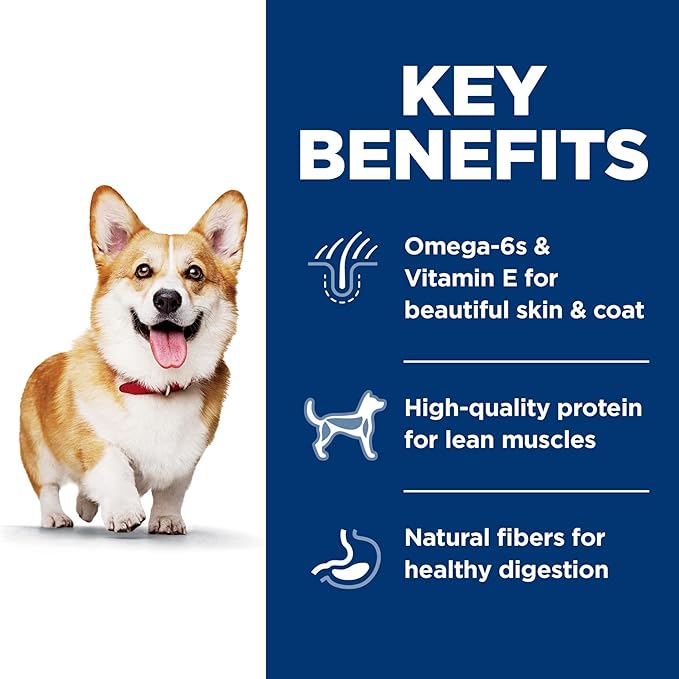 Hill's Science Diet Adult 1-6, Adult 1-6 Premium Nutrition, Small Kibble, Dry Dog Food, Lamb & Brown Rice, 33 lb Bag - PAWPICO