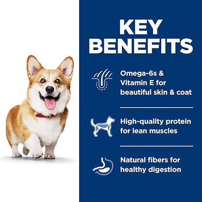 Hill's Science Diet Adult 1-6, Adult 1-6 Premium Nutrition, Small Kibble, Dry Dog Food, Lamb & Brown Rice, 33 lb Bag - PAWPICO