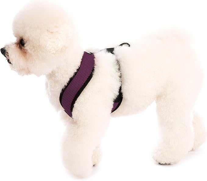 Gooby Comfort X Head In Harness - Purple, Medium - No Pull Small Dog Harness, Patented Choke-Free X Frame - Perfect on the Go Dog Harness for Medium Dogs No Pull, Small Dogs for Indoor and Outdoor Use Gooby