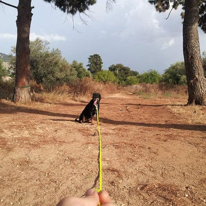 Long Leash Waterproof Training Longline Outdoor Dog Leash Great for Training, Beach, Yard, Play, Camping NIMBLE