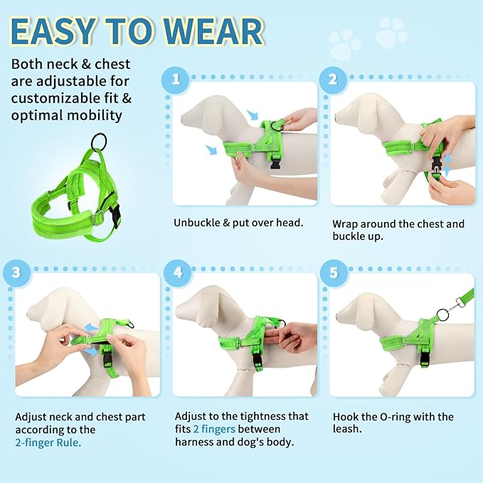 SlowTon No Pull Small Dog Harness and Leash Set, Puppy Soft Vest Harness Neck & Chest Adjustable, Reflective Lightweight Harness & Anti-Twist Pet Lead Combo for Small Medium Dogs(G,XS) SlowTon