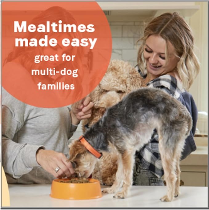 Canidae All Life Stages Dry Dog Food, Multi-Protein Formula, 5 lbs. - PAWPICO