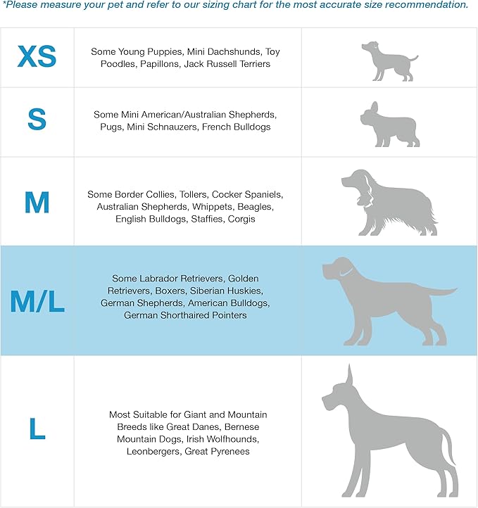 Blue-9 Buckle-Neck Balance Harness, Fully Customizable Fit No-Pull Harness, Ideal for Dog Training and Obedience, Made in The USA, Hunter Green, M/L Blue-9