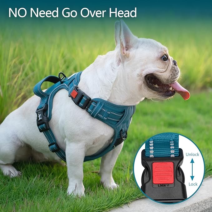 PoyPet No Pull Dog Harness, No Choke Reflective Dog Vest, Adjustable Pet Harnesses with Easy Control Padded Handle for Small Medium Large Dogs(Tumalo Teal,XS) PoyPet