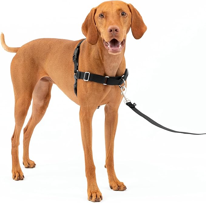 PetSafe Easy Walk No-Pull Dog Harness - The Ultimate Harness to Help Stop Pulling - Take Control & Teach Better Leash Manners - Helps Prevent Pets Pulling on Walks, Medium, Charcoal/Black PetSafe