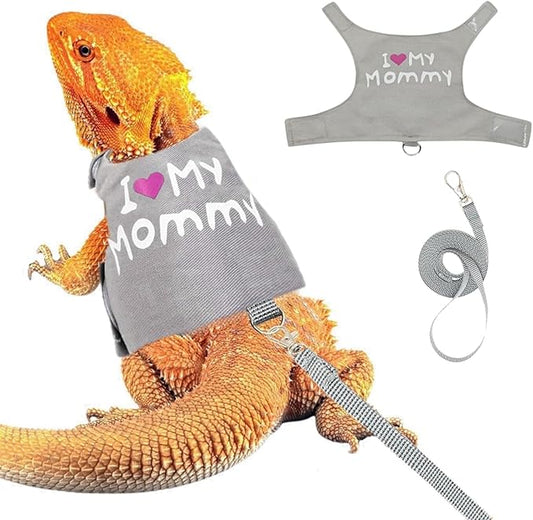 Bearded Dragon Harness and Leash Set - Adjustable Lizard Harness with Glow in The Dark Print Outdoor Traction Rope Walking Leash Reptile Halloween Costume Accessories for Small Pets (Grey) SEZDEKI