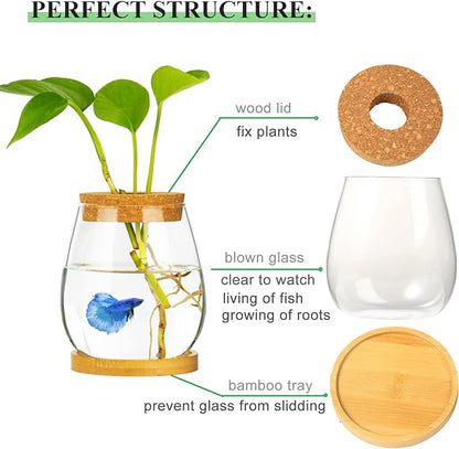 Desktop Fish Bowl Clear Glass Small Fish Tank with Wood Lid and Bamboo Stand for Betta Fish Plants Terrarium Home Office Decoration Gifts CUSNESTAL
