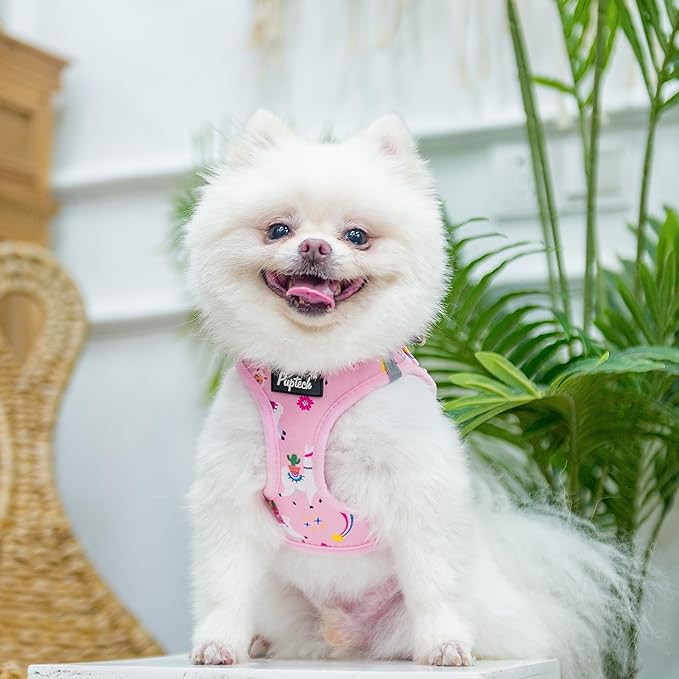 PUPTECK Adjustable Dog Harness Collar and Leash Set, Step in No Pull Pet Harness for Small Medium Dogs Puppy Cats Outdoor Walking, Soft Mesh Padded Reflective Vest Harnesses, Light Pink Alpaca, L PUPTECK