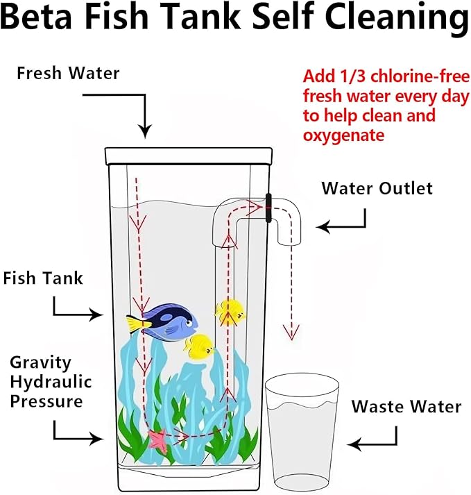 My First Fish Tank™ 1 Gallon Mini Small Fish Tank, Easy Maintenance, Self Cleaning-no Need Power, No Noise, with LED Light, Beautiful White Pebbles, Perfect Starter Kit for Kids ODOTTAA