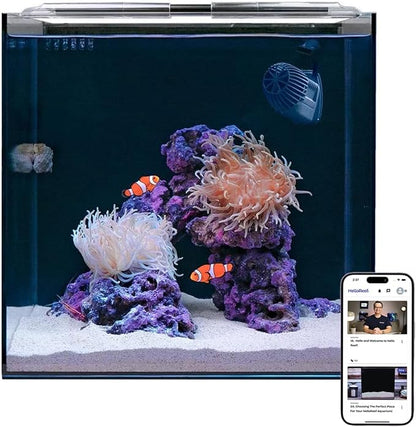 15 Gallon Beginner Clownfish Saltwater Aquarium Kit with App Controlled Smart LED Lighting, Filtration, Decor, and Setup Guide HelloReef