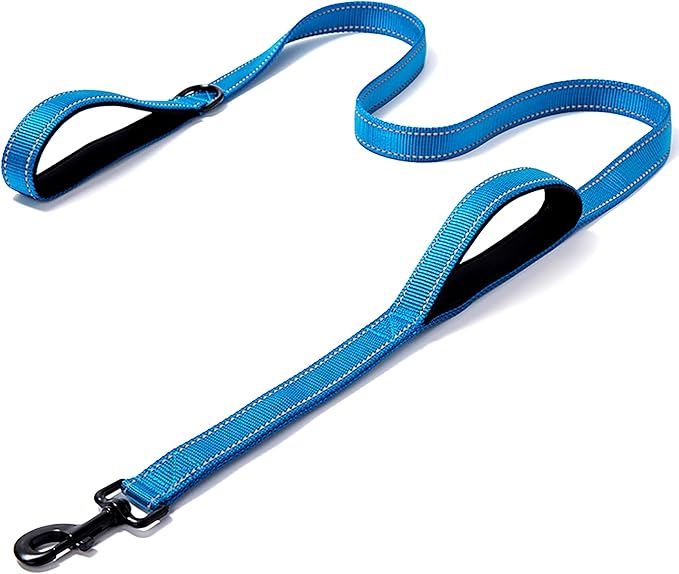 Heavy Duty Dog Leash - 2 Handles by Padded Traffic Handle for Extra Control, 6foot Long - Perfect for Medium to Large Dogs (Dark Blue, 6 ft) JEWOSTER