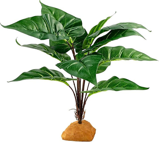 Woyrise Reptile Artificial Plants for Terrarium Decor, Amphibian Habitat Decorations Bearded Dragon Tank Accessories fit Crested Gecko Leopard Lizard Chameleon Ball Python Snake Frog - Fake Rohdea Woyrise