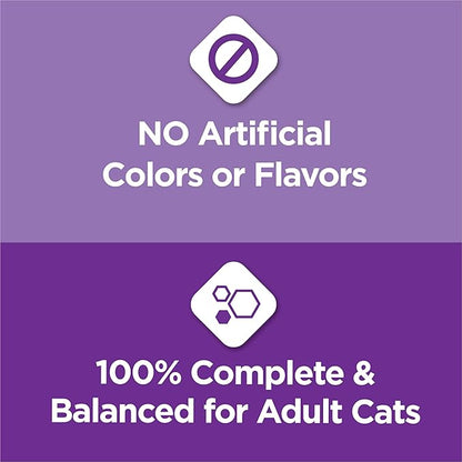 Purina Cat Chow Gentle Dry Cat Food, Sensitive Stomach + Skin - 13 lb. Bag - PAWPICO