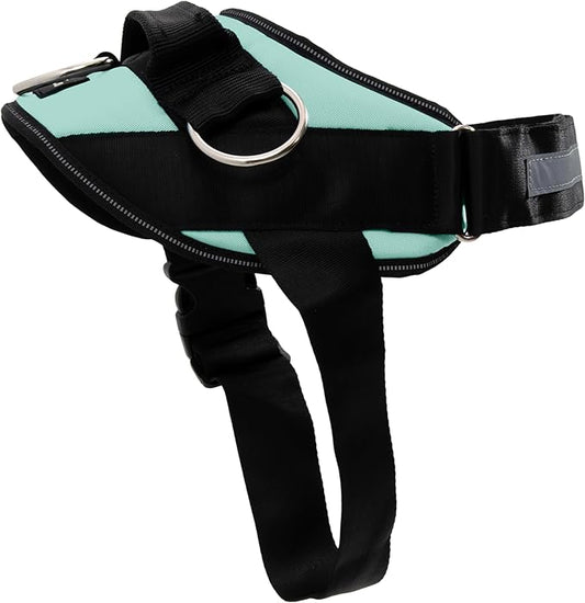 ShawnCo Essential Dog Harness, No-Pull Pet Vest with 3 Leash Clips, No Choke, Reflective, Adjustable and Padded, for Easy Walking and Training for Small, Medium and Large Dogs (Seafoam, XL) SHAWNCO