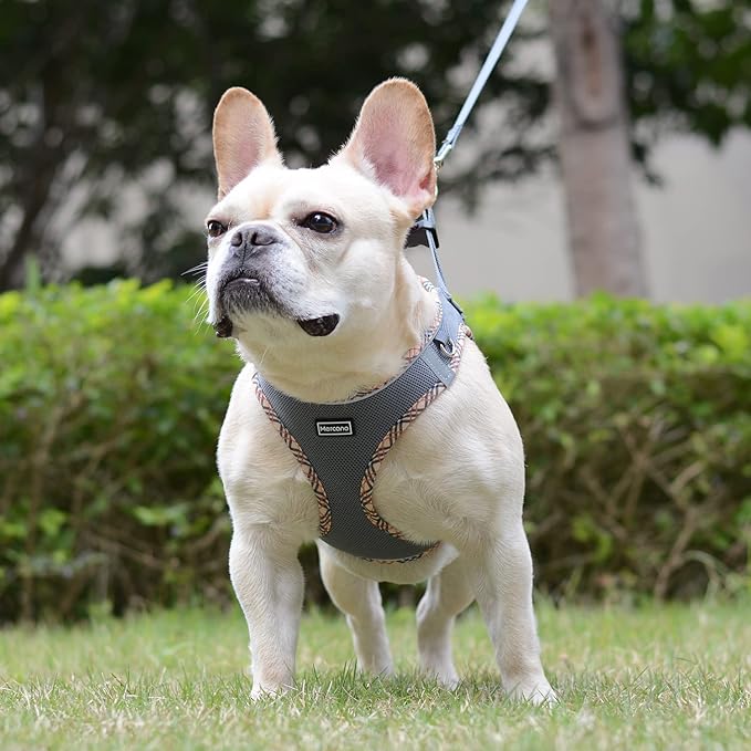 Mercano Soft Mesh Dog Harness and Leash Set, No-Chock Step-in Reflective Breathable Lightweight Easy Walk Escape Proof Vest Harnesses with Safety Buckle for Small Medium Dogs, Cats (Grey, M) PAWPICO
