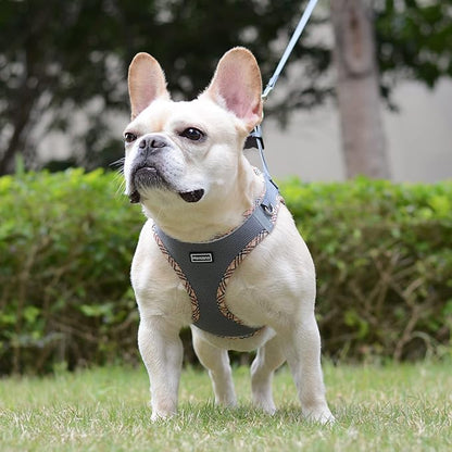Mercano Soft Mesh Dog Harness and Leash Set, No-Chock Step-in Reflective Breathable Lightweight Easy Walk Escape Proof Vest Harnesses with Safety Buckle for Small Medium Dogs, Cats (Grey, XXS) PAWPICO