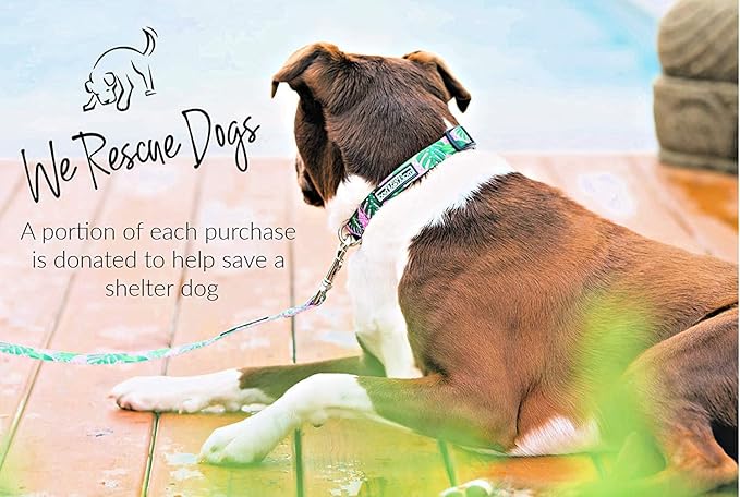 Lucky Love Dog, Tropical Matching Dog Collar & Leash Set, Soft & Comfy, Vivid Pink Color Collar and Leash for Female Male Dogs - (Small, Laguna Combo) LuckyLoveDog