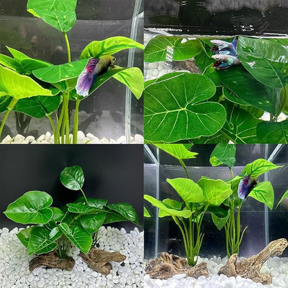 Smoothedo-Pets Fish Tank Decor Aquarium Decorations Ornaments Betta Leaf pad Hammock 6inch Plastic Artificial Plant Goldfish Fish Hides Small Tank/Reptiles Plants Driftwood (Green-Type-A-Set) EnvironmentFriendlyArtificialPlasticPlantAquariumDecoration