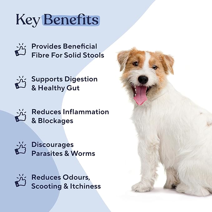 Pawfy Anal Gland Chews for Dogs | Natural No Scoot Remedy with Probiotics – Helps with Constipation, Digestive Health, and Gas Relief | Promotes Healthy Poops & Comfort - 30 Dog Supplements Pawfy