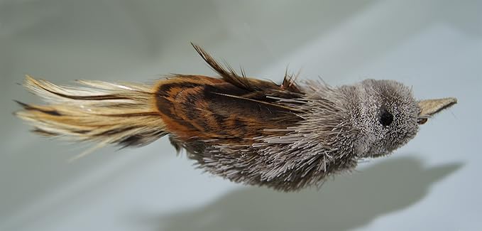 House Finch Bird Refill/Attachment- Fits Wildcat and Popular Bird and Mouse Type Wands/Poles - PAWPICO