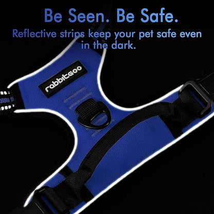 rabbitgoo Dog Harness, No-Pull Pet Harness with 2 Leash Clips, Adjustable Soft Padded Dog Vest, Reflective No-Choke Pet Oxford Vest with Easy Control Handle for Small Dogs, Dazzling Blue,XS - PAWPICO