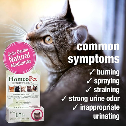 HomeoPet Feline UTI Plus, Safe and Natural Urinary Tract Medicine for Cats, Feline Urinary Tract Support, 15 Milliliters - Pack of 2 HomeoPet
