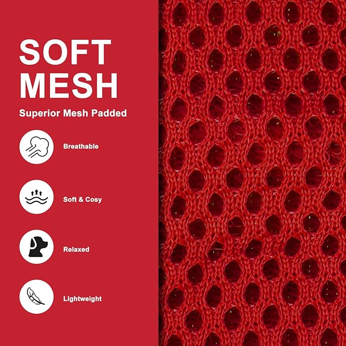 EXPAWLORER Classic Plaid Puppy Harness - Small Dog Harness and Leash Set - Dog Collar and Leash Set with AirTag Holder, Soft Padded Step in Dog Vest Harness No Pull Reflective for Outdoor, Red S EXPAWLORER