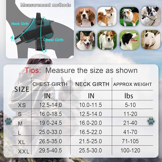 Bolux Dog Harness, No-Pull Reflective Dog Vest, Breathable Adjustable Pet Harness with Handle for Outdoor Walking - No More Pulling, Tugging or Choking (Turquoise, M) Bolux