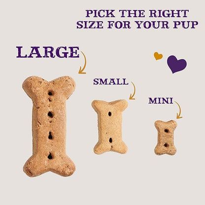 Old Mother Hubbard by Wellness Classic P-Nuttier Natural Dog Treats, Crunchy Oven-Baked Biscuits, Ideal for Training, Large Size, 3.3 pound bag - PAWPICO