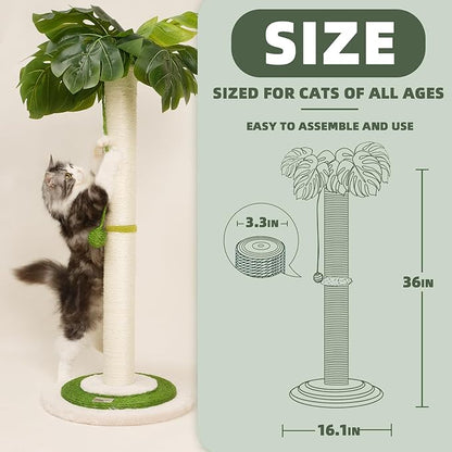 MEOWOOU Cat Scratching Post for Indoor Cats and Kitten, 35” Tall Monstera cat Scratching Post with sisal Hanging Interactive Ball, Suitable for Large Adult cat, Kitten, and All Type of Cats - PAWPICO