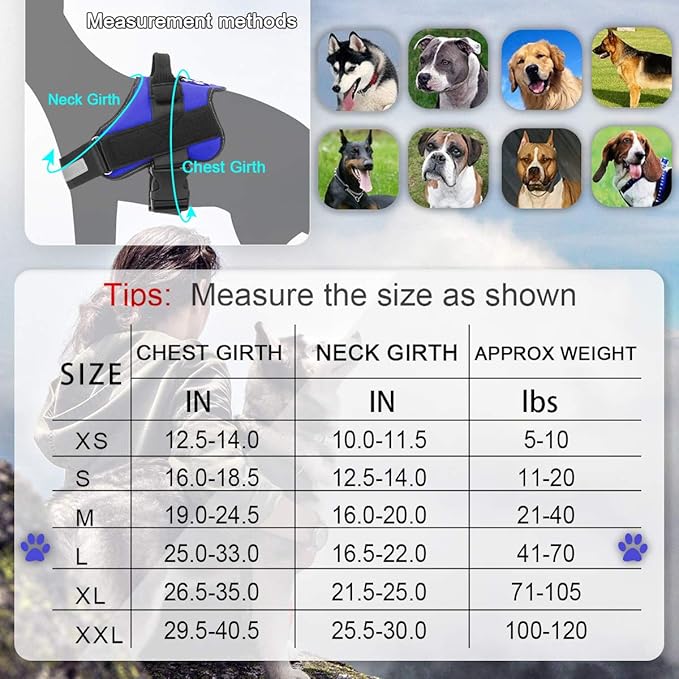 Bolux Dog Harness, No-Pull Reflective Dog Vest, Breathable Adjustable Pet Harness with Handle for Outdoor Walking - No More Pulling, Tugging or Choking (Blue, L) Bolux