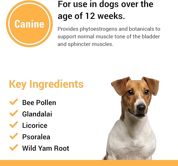 Vet Classics Bladder, Incontinence Support Dog Supplement – Supports Bladder Health for Dogs, Helps With Pet Incontinence – Includes Phytoestrogens, Botanicals – Chewable Tablets – 120 Ct. Vet+Classics