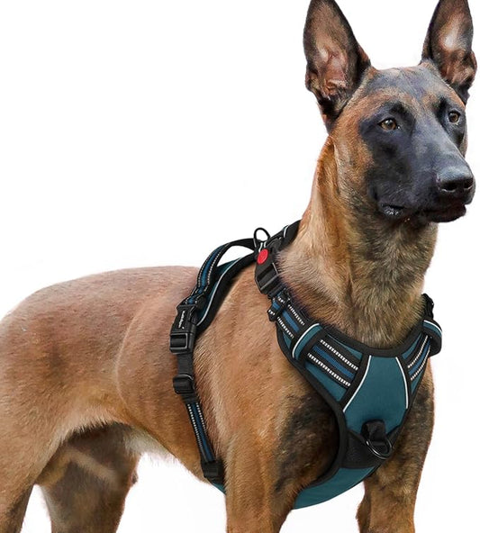 rabbitgoo Dog Harness for Large, No Pull Pet Harness with 3 Buckles, Adjustable Soft Padded Pooch Vest with Instant Control Handle, Easy Walking Reflective Pet Vest for Extra Large Dogs,Blue Coral,XL rabbitgoo