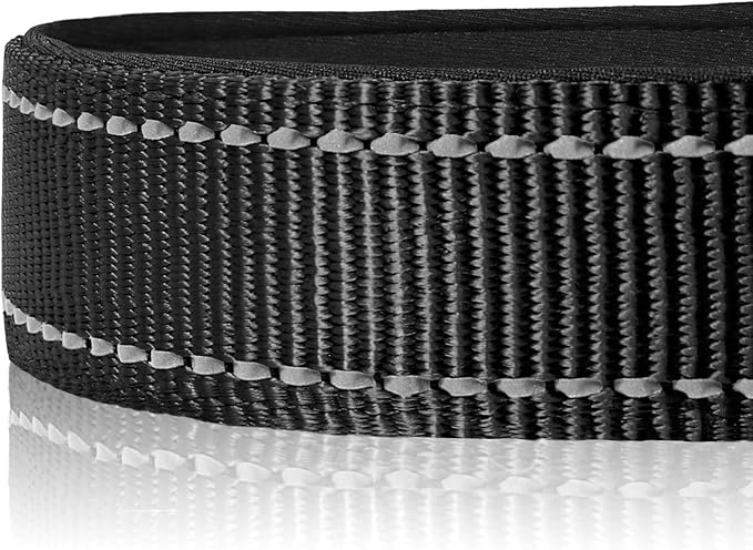 Joytale Reflective Dog Collar,Soft Neoprene Padded Breathable Nylon Pet Collar Adjustable for Large Dogs,Black,L - PAWPICO