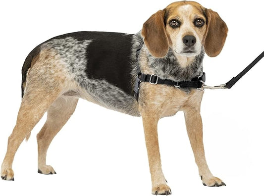 PetSafe Easy Walk No-Pull Dog Harness - The Ultimate Harness to Help Stop Pulling - Take Control & Teach Better Leash Manners - Helps Prevent Pets Pulling on Walks, Small/Medium, Charcoal/Black PetSafe