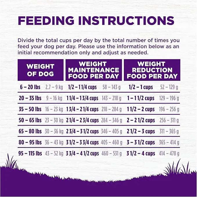 Wellness Complete Health Dry Dog Food with Grains, Natural Ingredients, Made in USA with Real Meat, All Breeds, For Adult Dogs (Healthy Weight - Chicken & Potatoes, 5-Pound Bag) - PAWPICO