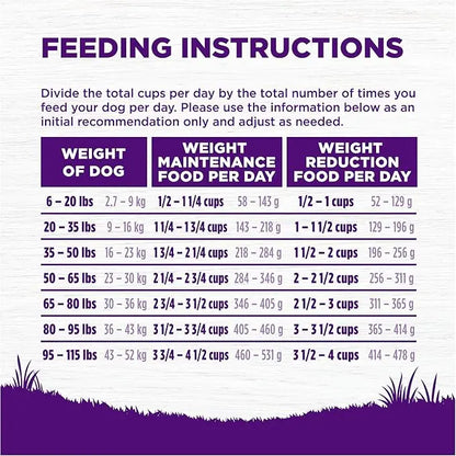 Wellness Complete Health Dry Dog Food with Grains, Natural Ingredients, Made in USA with Real Meat, All Breeds, For Adult Dogs (Healthy Weight - Chicken & Potatoes, 5-Pound Bag) - PAWPICO