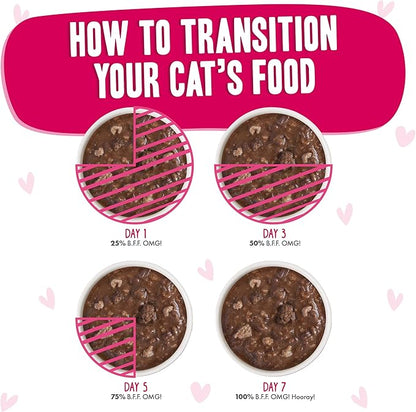 Weruva B.F.F. OMG - Best Feline Friend Oh My Gravy!, Tuna & Duck Dilly Dally with Tuna & Duck, 5.5oz Can (Pack of 8) - PAWPICO