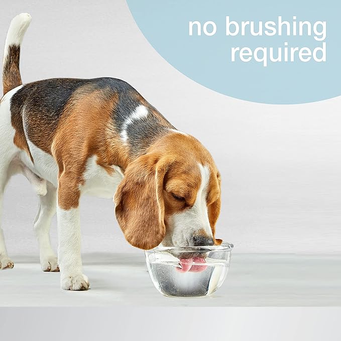 Nylabone Advanced Oral Care Dog Water Additive for Dental Care - Liquid Tartar Remover - Dog Breath Freshener & Teeth-Cleaning Liquid (16 oz.) Nylabone