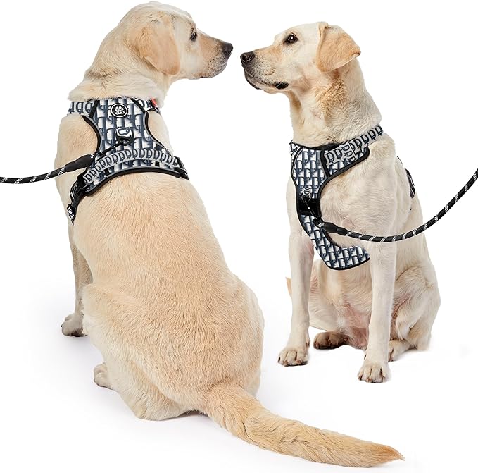 NESTROAD No Pull Dog Harness,Adjustable Oxford Dog Vest Harness with Leash,Reflective No-Choke Pet Harness with Easy Control Soft Handle for Medium Dogs(Medium,Vintage Blue) NESTROAD