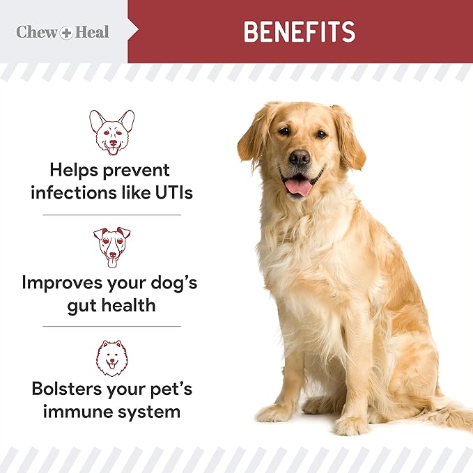 Chew + Heal UTI Treatment Cranberry Chews for Dogs - 240 Soft Chews - Supports Healthy Urinary Tract and Bladder Function - Corrects Imbalances - with Echinacea and Vitamin C ChewHeal
