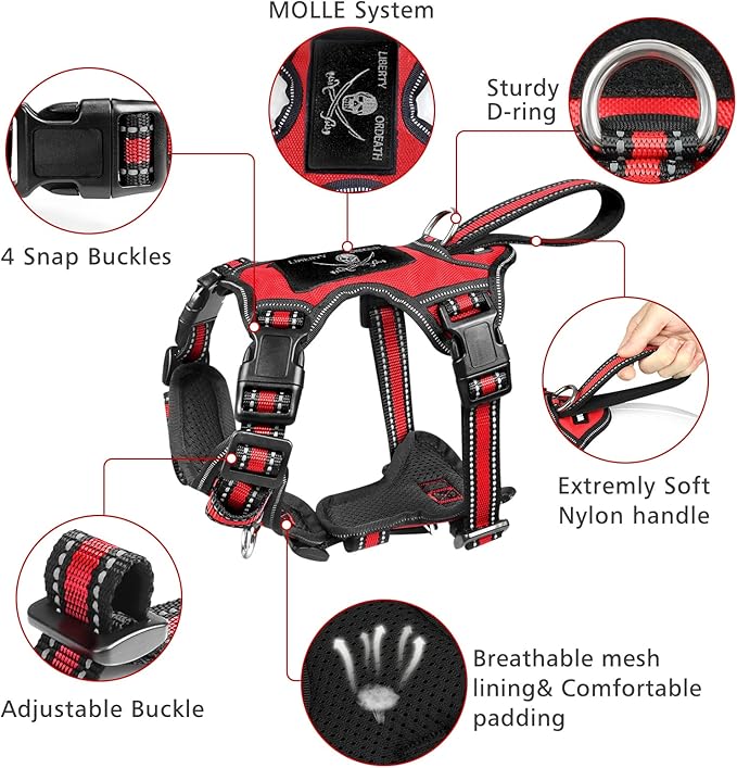 WINSEE Pet Harness Collar and Leash Set, All-in-one Reflective Dog Harness No Pull with Adjustable Buckles for Puppies, Small, Medium, Large, and Extra-Large Dogs (X-Large, Red) WINSEE