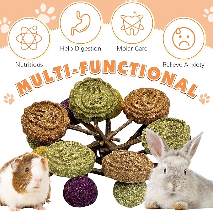 Fhiny Rabbit Chew Toys, 15 PCS Natural Bunny Lollipop Chew Sticks Handmade Guinea Pig Molar Treats for Teeth Small Animals Snacks for Guinea Pig Bunny Chinchilla Hamster Gerbil Teeth Care Fhiny