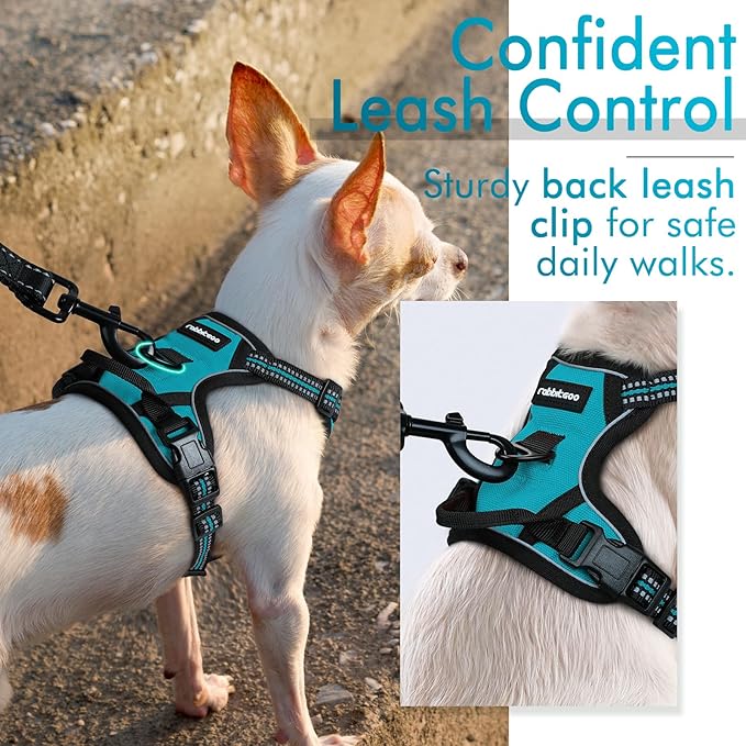 rabbitgoo Dog Harness, No-Pull Pet Harness with 2 Leash Clips, Adjustable Soft Padded Dog Vest, Reflective No-Choke Pet Oxford Vest with Easy Control Handle for Large Dogs, Teal, X-Small - PAWPICO