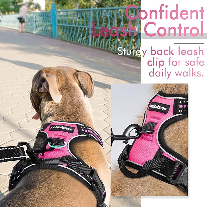 rabbitgoo Dog Harness, No-Pull Pet Harness with 2 Leash Clips, Adjustable Soft Padded Dog Vest, Reflective No-Choke Pet Oxford Vest with Easy Control Handle for Medium Dogs, Hot Pink, M - PAWPICO